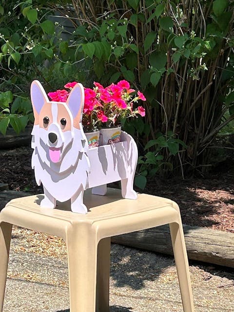 Corgi Planter