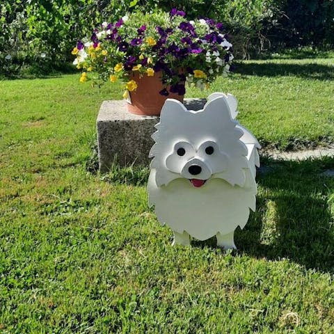 Kleinspitz Blumentopf