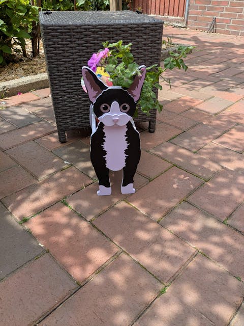 Deutsche Katze Blumentopf