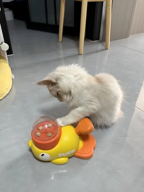 Interaktiver Futterspender für Haustiere