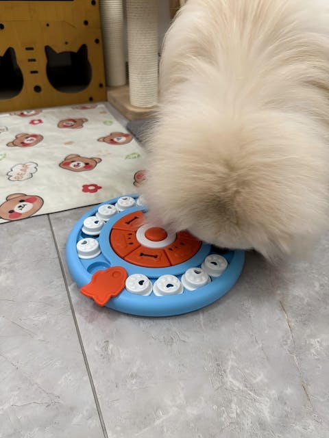 Pizza-Förmiger Langsamer Futternapf – Leckerli-Spielzeug Für Haustiere