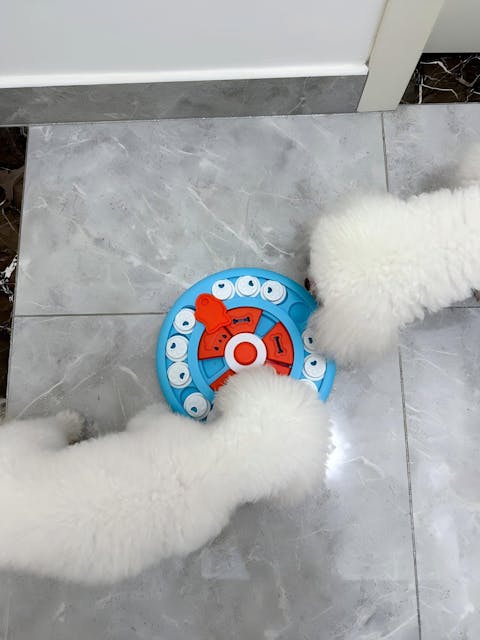 Pizza-Förmiger Langsamer Futternapf – Leckerli-Spielzeug Für Haustiere