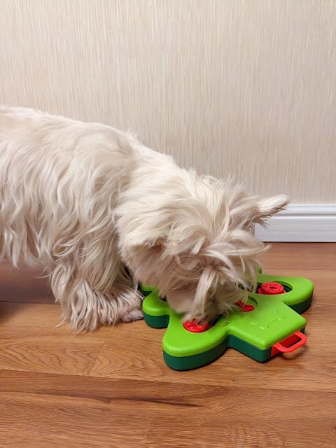 Weihnachtsbaum Langsamer Futternapf Für Haustiere – Mentales Leckerli Spielzeug