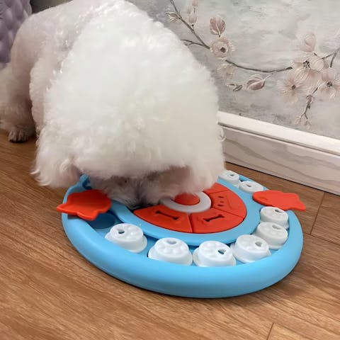 Pizza-Förmiger Langsamer Futternapf – Leckerli-Spielzeug Für Haustiere