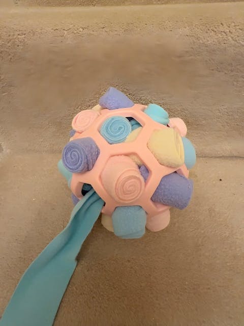 SnuffleMaster – Interaktives Leckerli Spiel