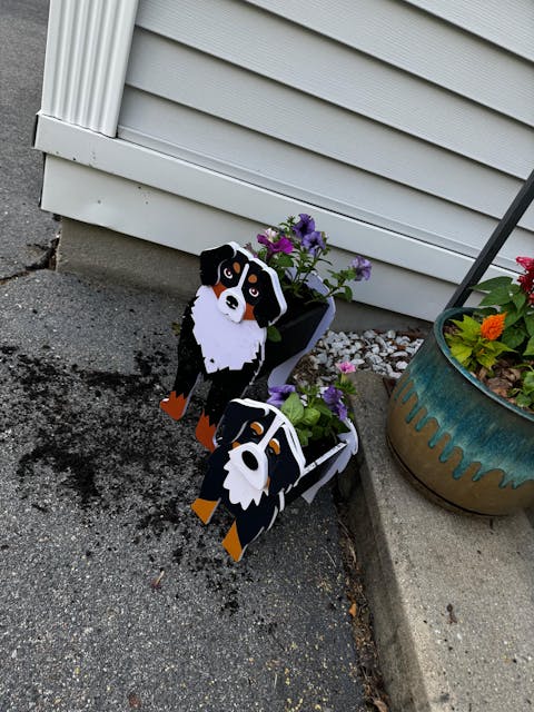 Bernese Mountain Dog Planter