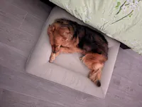 Cama Ortopédica Viscoelástica – Pethijos