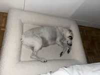 Cama Ortopédica Viscoelástica – Bouclé Blanca