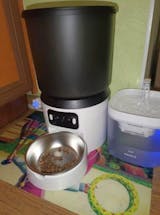 PetHug Feeder automatico smart