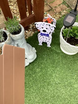 Pot de fleurs en forme de Petit Dalmatien