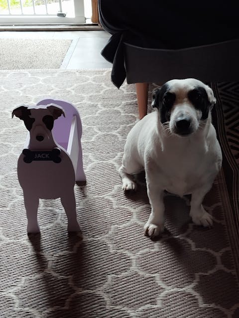 Pot de fleurs en forme de Jack Russell