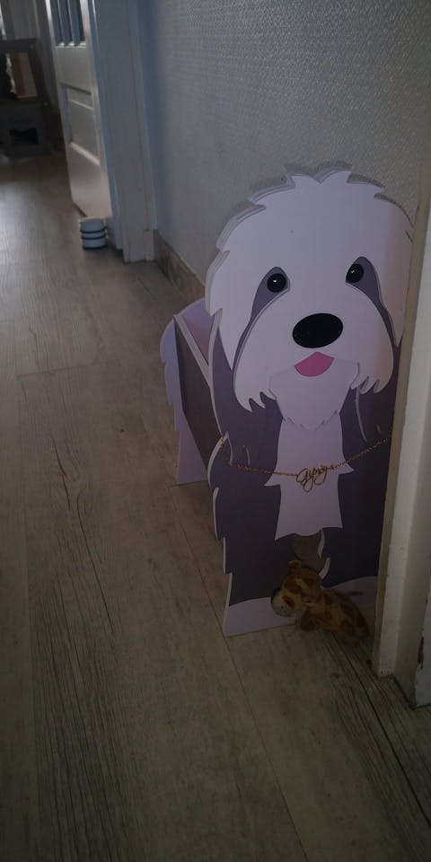 Pot de fleurs en forme de Colley Barbu