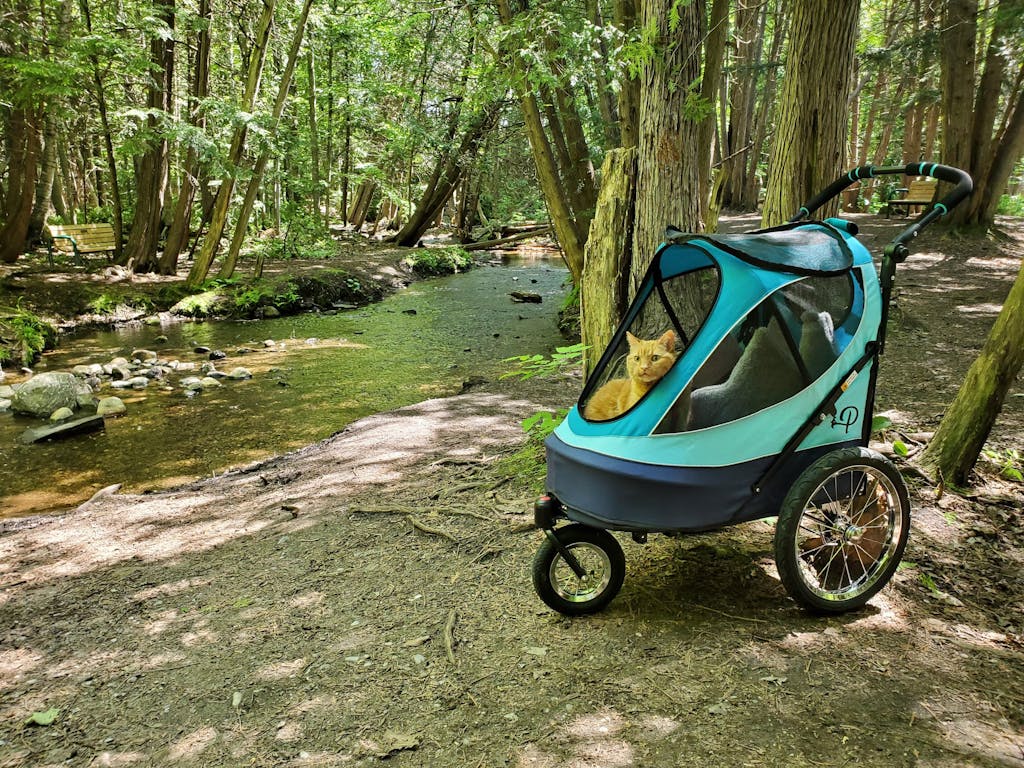 Petique 5in1 Pet Stroller w/Carrier & Stroller) Dog/Cat