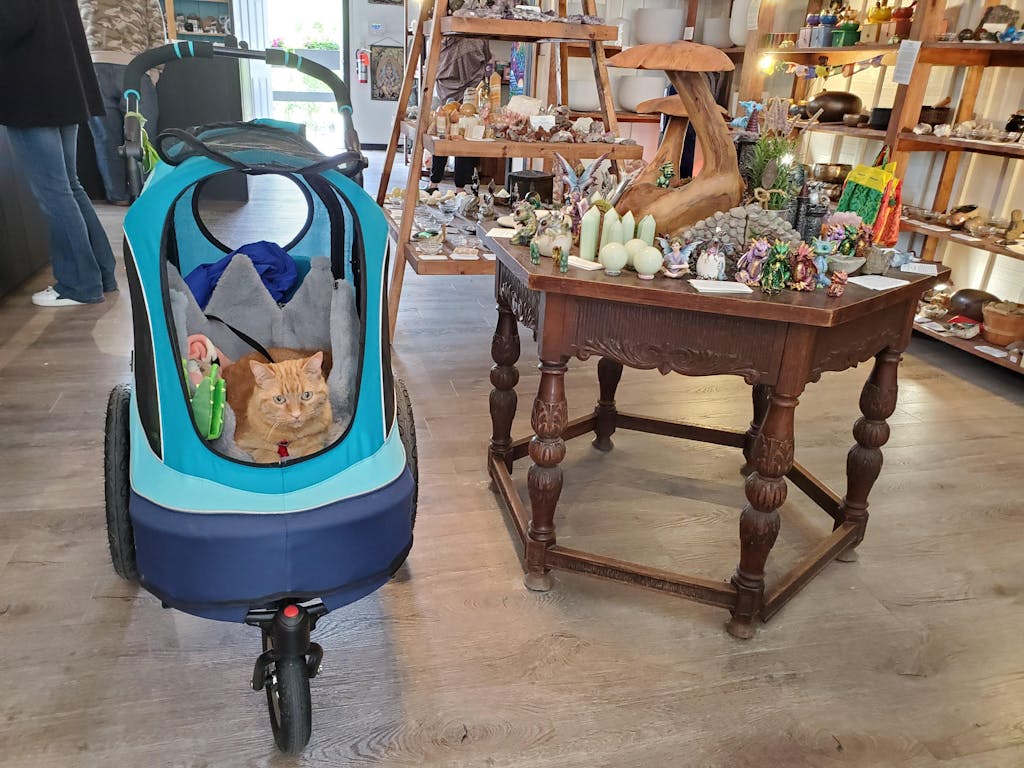 Petique 5in1 Pet Stroller w/Carrier & Stroller) Dog/Cat