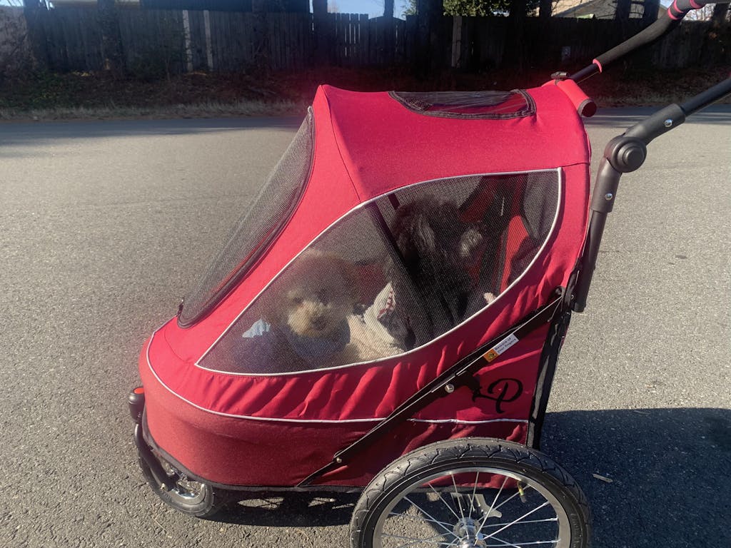 Petique All Terrain Pet Jogger for Dog/Cat/Small Animal in Pink