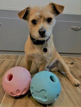 atogafigo dog balls 5.6 inch treat dispensing dog toys for