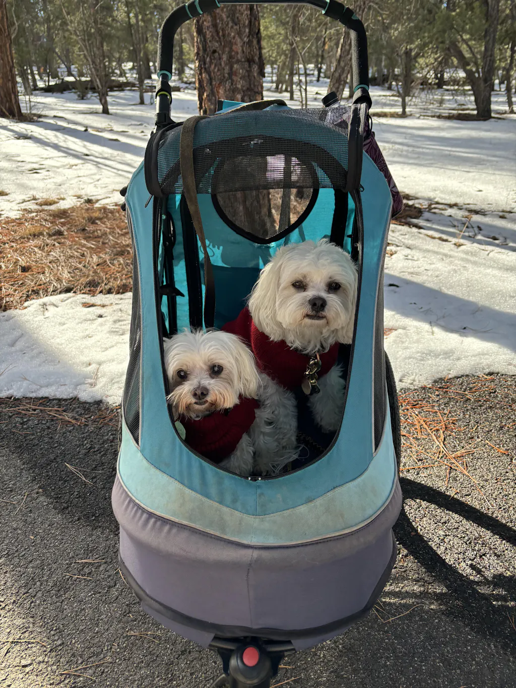 Petique All Terrain Pet Jogger for Dog/Cat/Small Animal in Pink