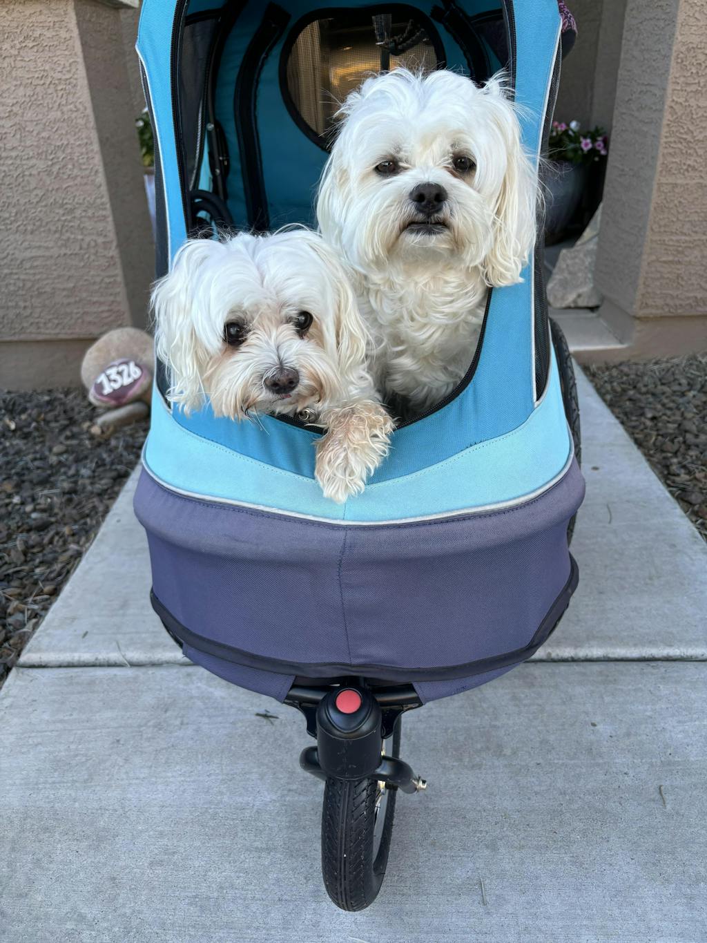 Petique All Terrain Pet Jogger for Dog/Cat/Small Animal in Pink