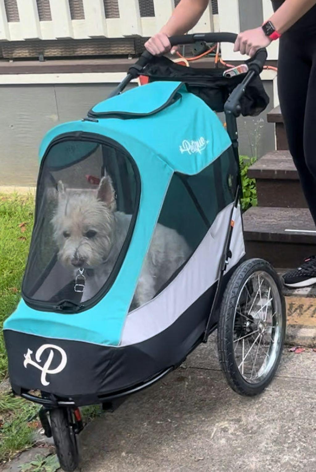PETIQUE Durable Folding Pet Stroller With Mesh Sides For Dogs Cats