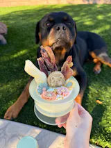 Floral Garden Goat Milk Pet Treats 15 pcs