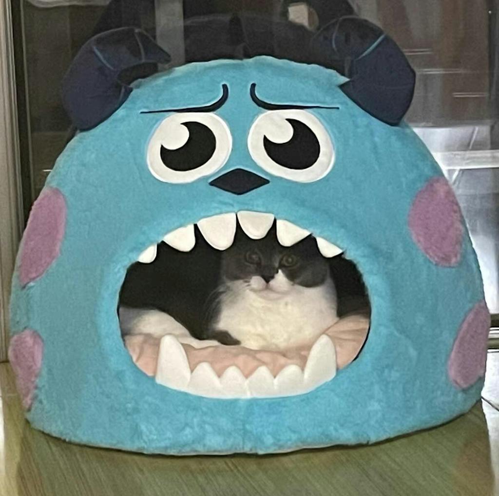 Disney Monsters Inc. Sulley Cat Bed – Petites Paws