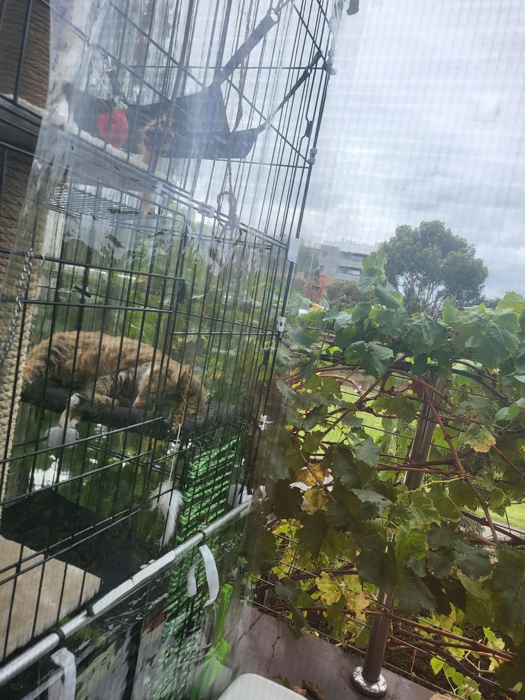 Large Multi Tier Cat Crate Portable Pet Wire Cage Enclosure PetJoint