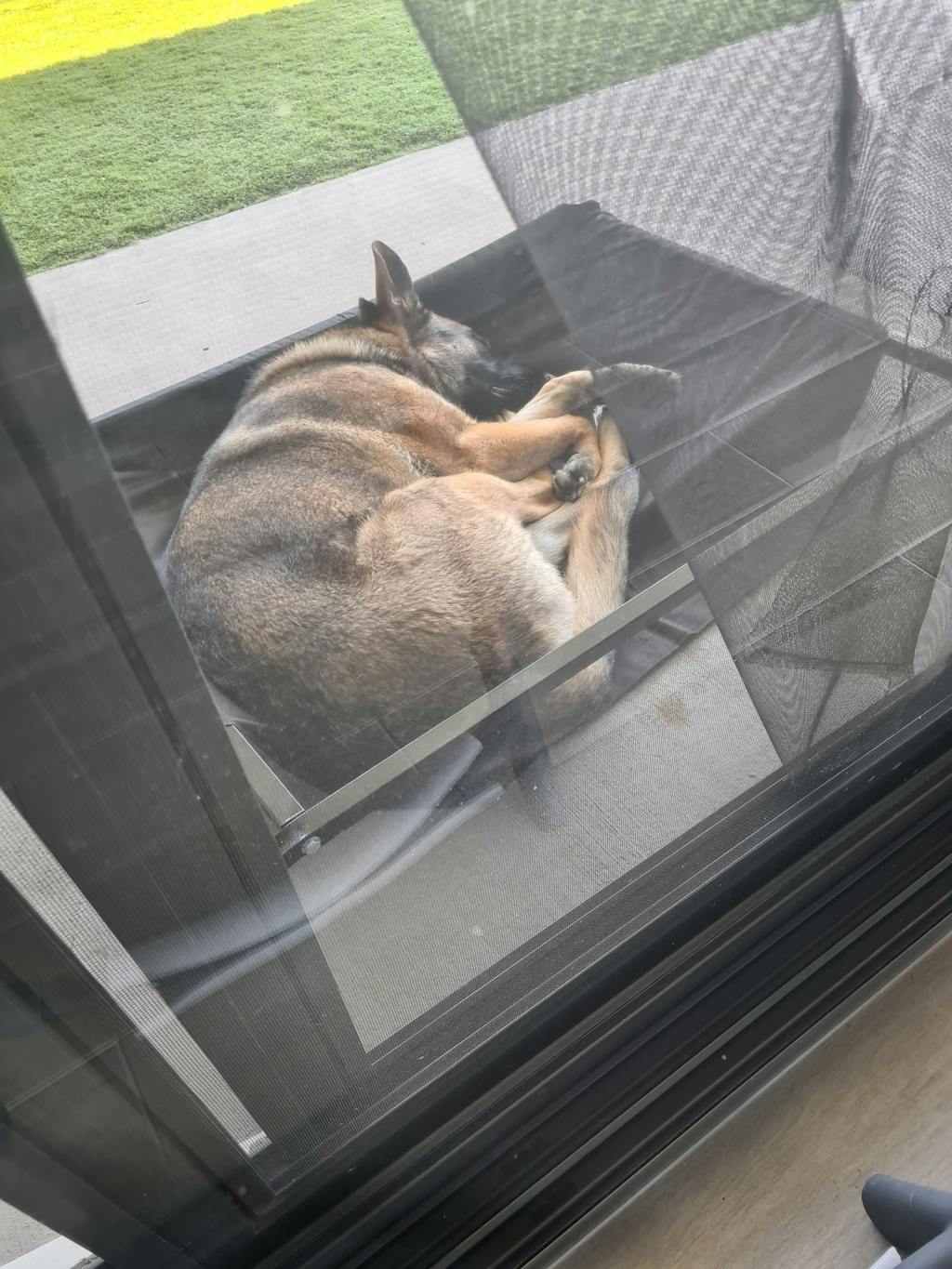 Pet Joint Wooden Dog Houses Kennels Puppy Crates Heavy Duty PlayPen