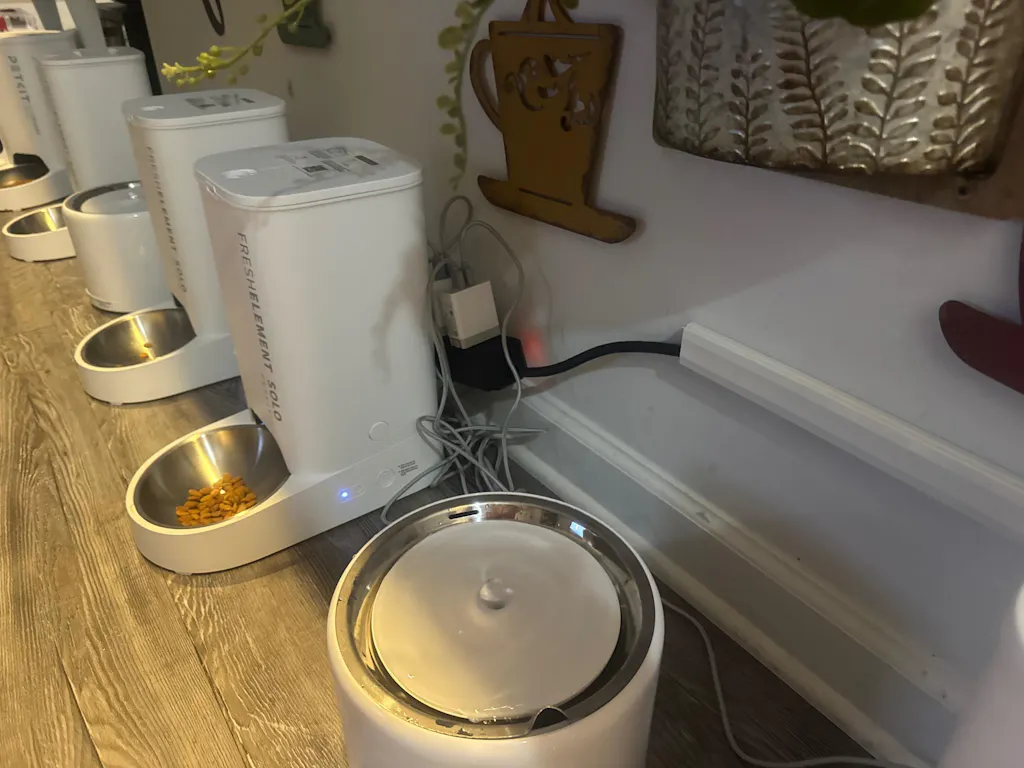 Fresh Element Solo Automatic Cat Feeder with App Control