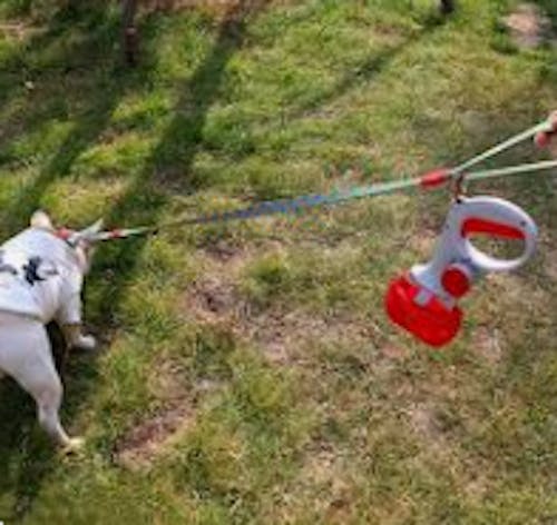 4 In 1 Retractable Kettle Dog Leash