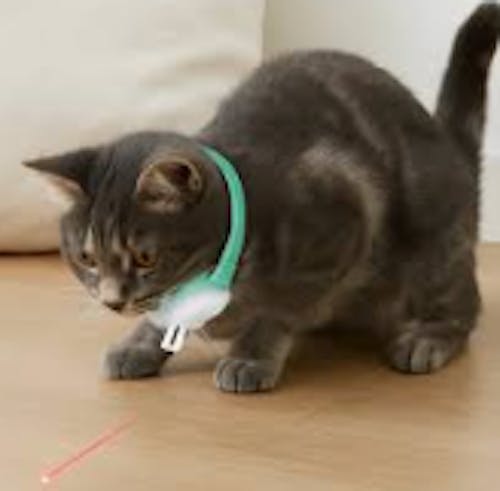 Laser Pointer Collar for Cats Interactive
