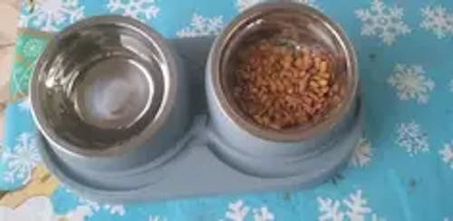 T012 Trendy Pet Bowl