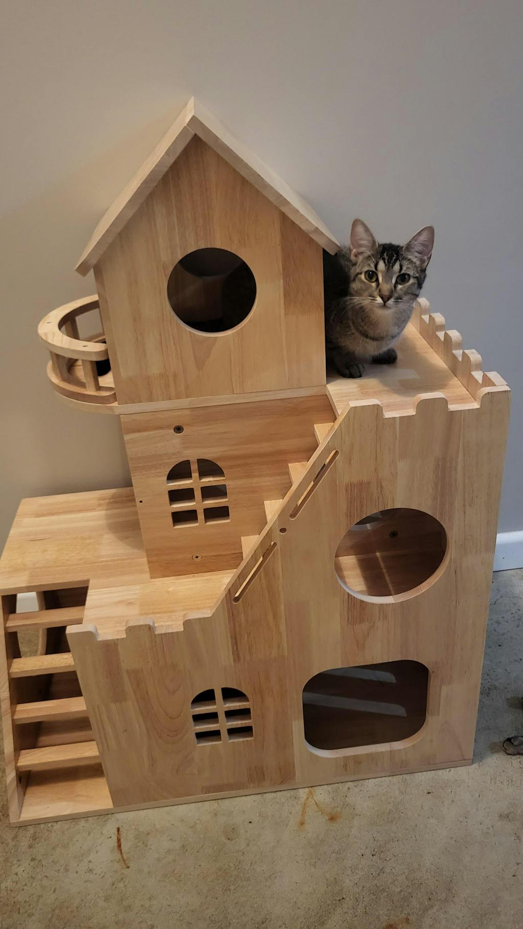 Wooden Cat Tree & Wood Cat House Indoor Low Price petomg