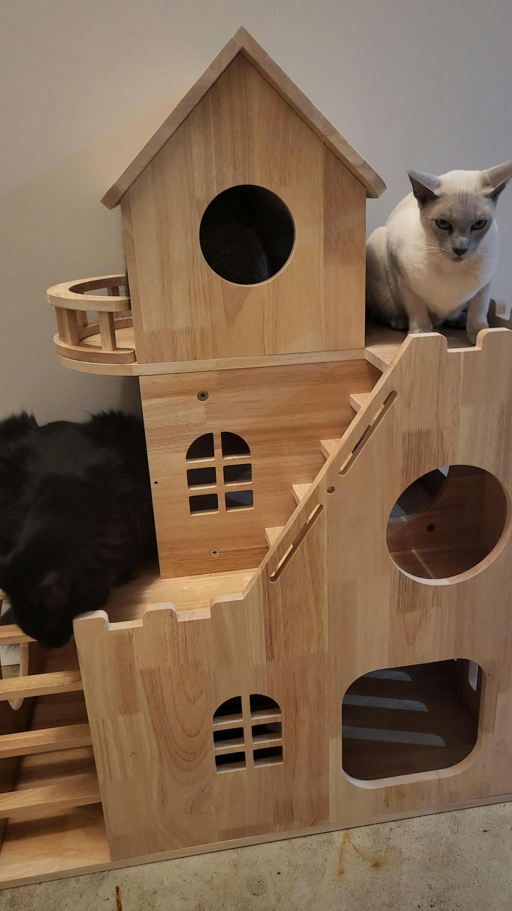 Wooden Cat Tree & Wood Cat House Indoor Low Price petomg