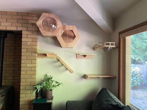 Wall Mounted Hexagon Cat Shelf Set | Rubber Wood