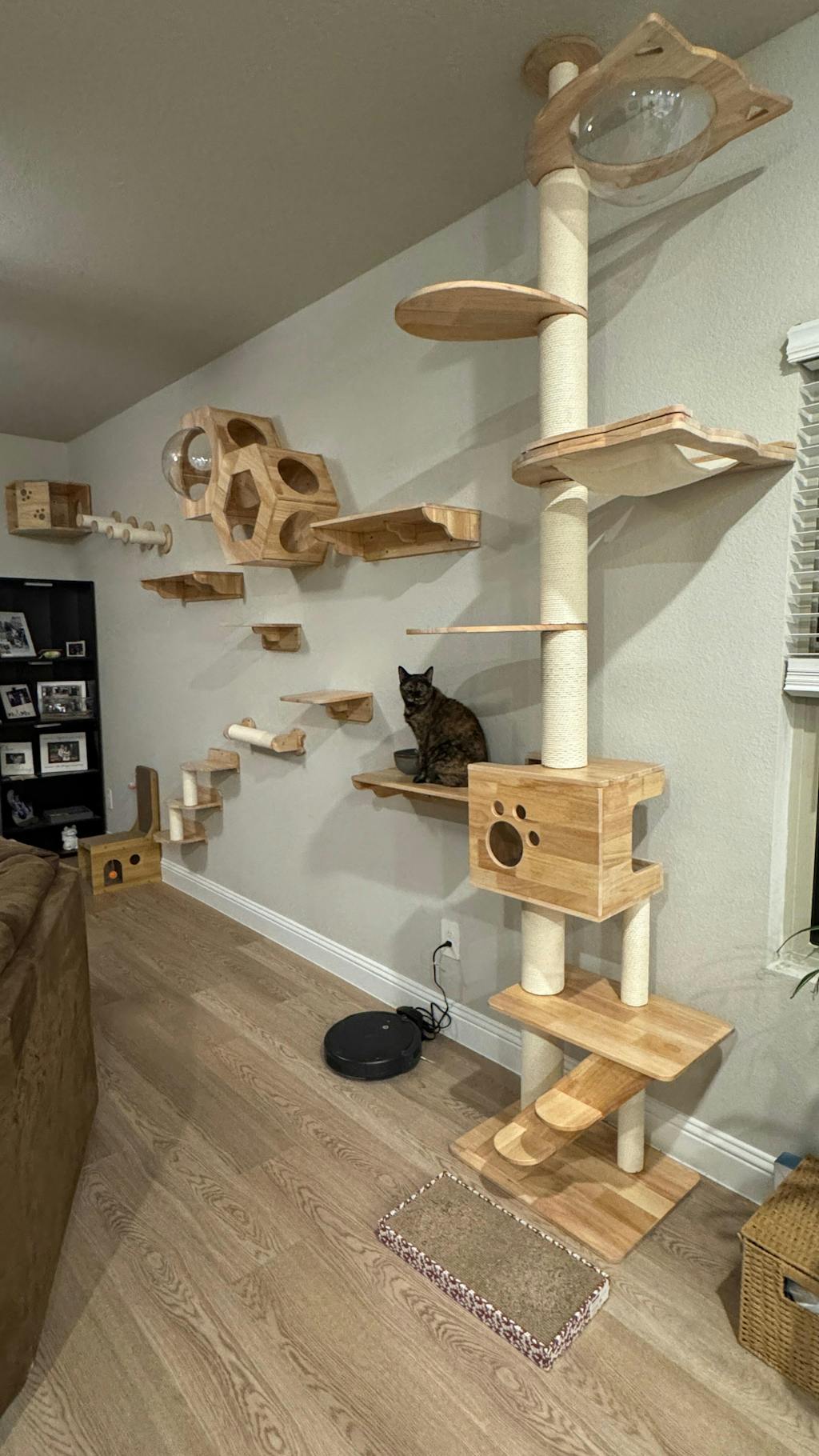 PETOMG Wall Mounted Cat House, Cat Wall Shelf, Large Cat Wall Bed| Rubberwood