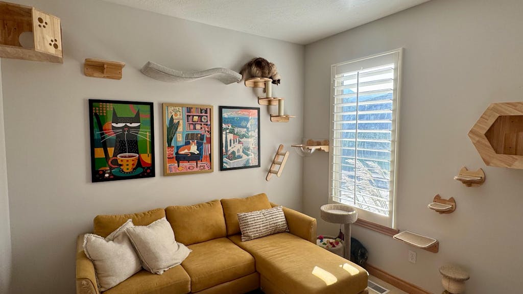 PETOMG Cat Shelves, DIY Cat Wall Shelf, Cat Walks | Cat Wall Mounted Set | Rubberwood