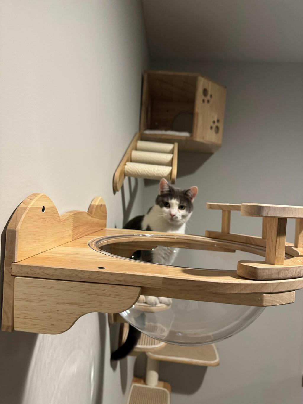 Wall-Mounted Cat Wall Set, Corner Cat Bed, Cat Climbing System, Cat Wall Shelves, Suitable for Modern Home Design
