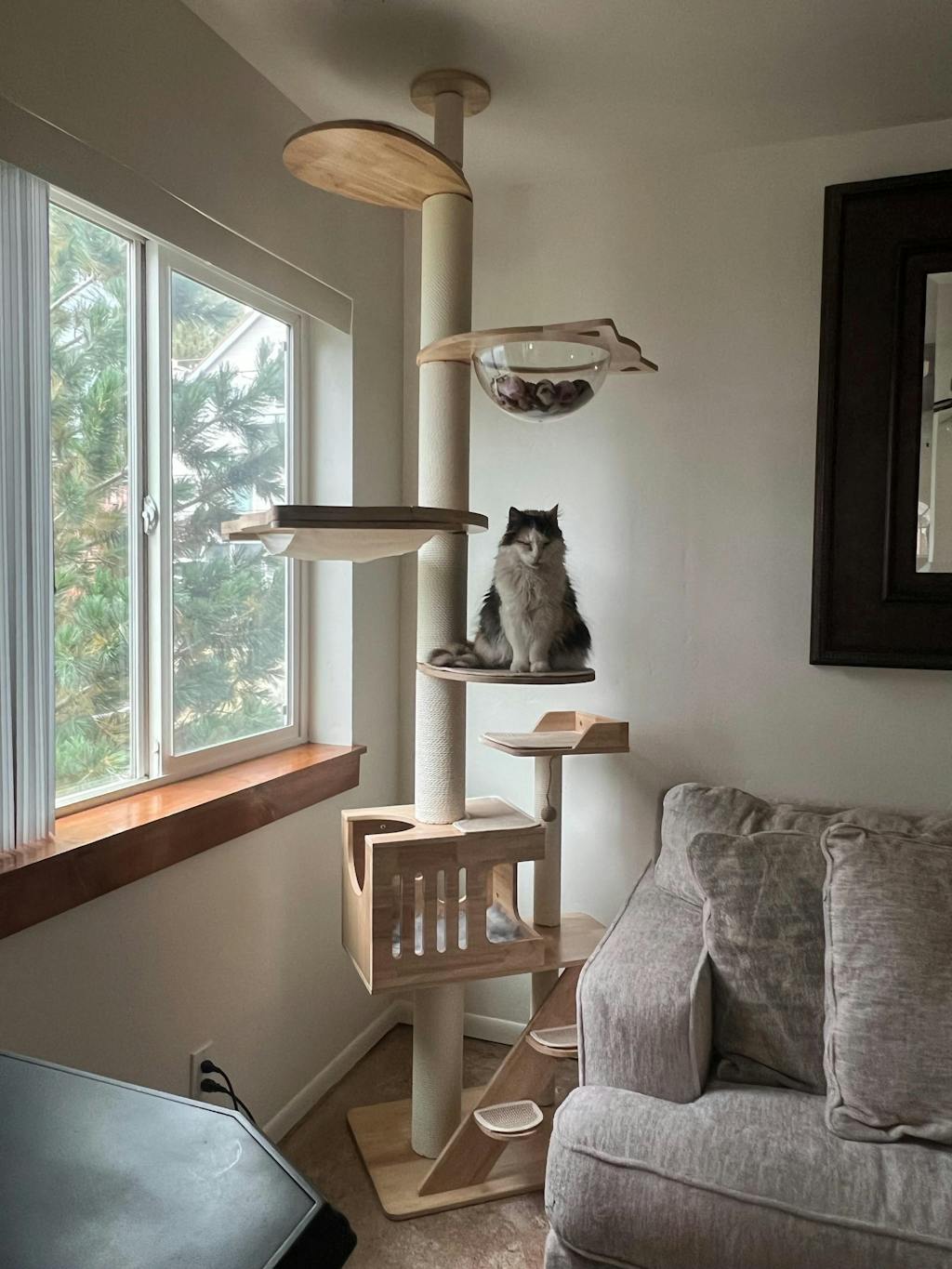 Floor to Ceiling Cat Tree - Adjustable Hammock Chic