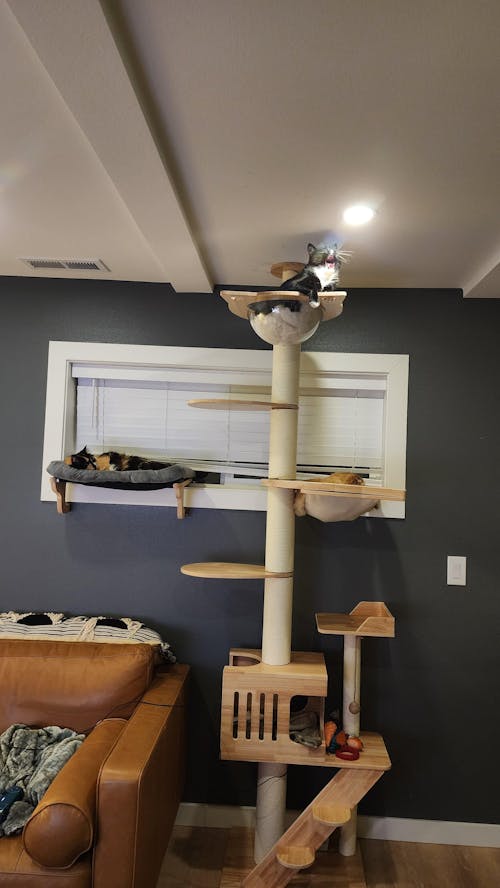 Floor to Ceiling Cat Tree - Adjustable Hammock Chic