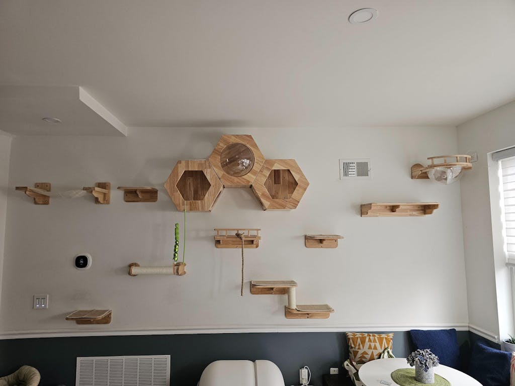 PETOMG Cat Perch, Cat Space Capsule, Cat Bed Furniture, Cat Wall Mounted | Rubber Wood