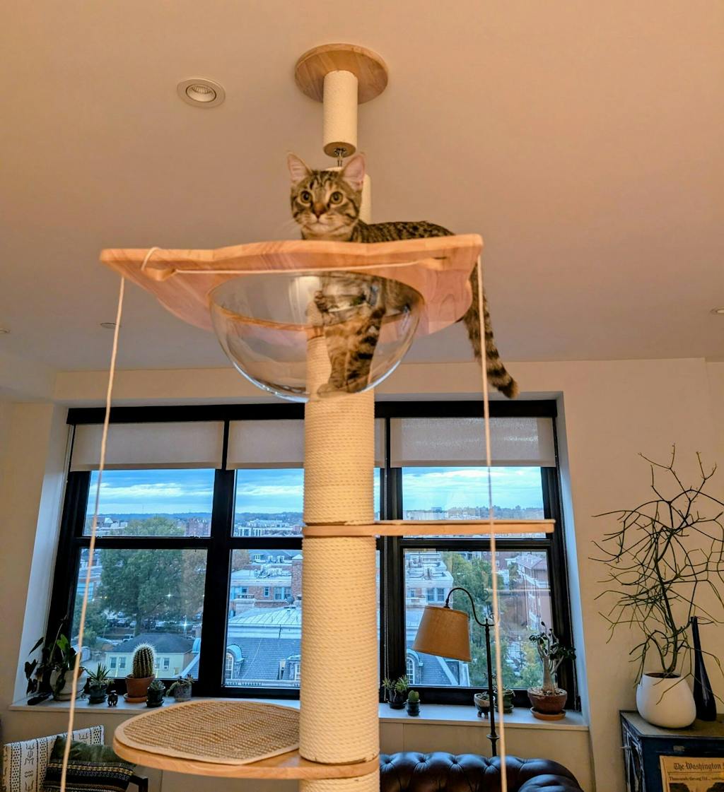 Floor to Ceiling Cat Tree - Adjustable Hammock Chic