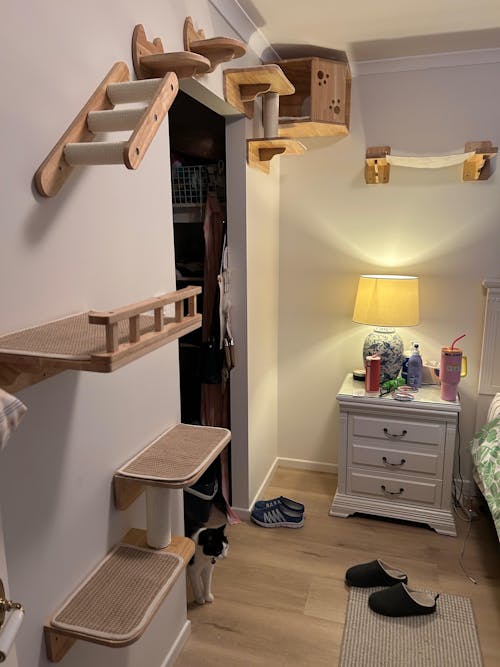 Wall-Mounted Cat Wall Set, Corner Cat Bed, Cat Climbing System, Cat Wall Shelves, Suitable for Modern Home Design