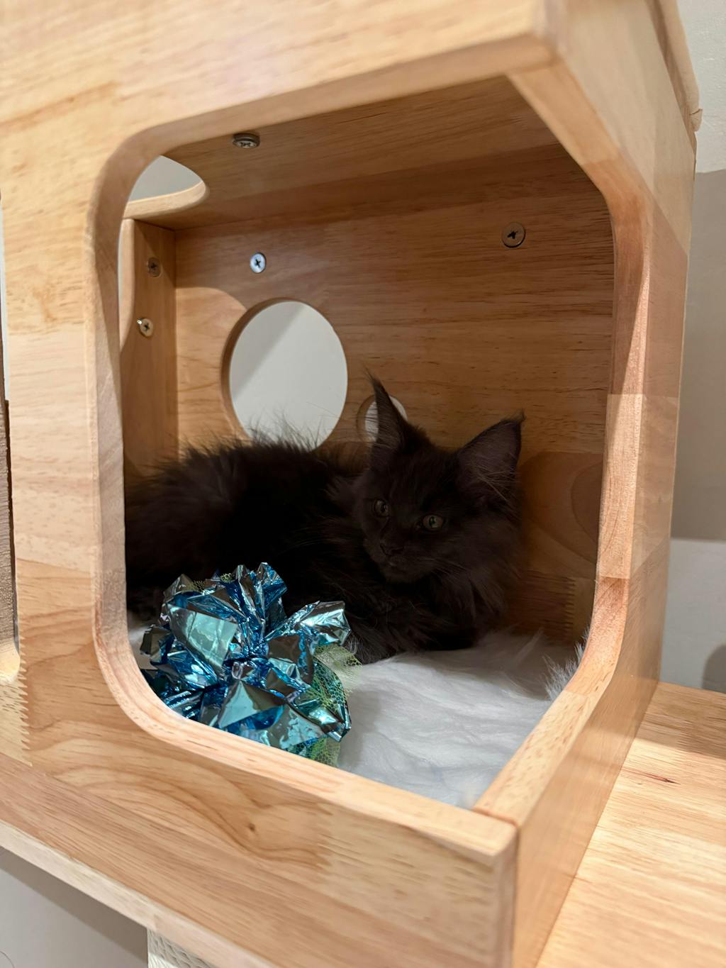 Add-On Accessories for Floor to Ceiling Cat Tree | Hammock, Step, Bubble Pod