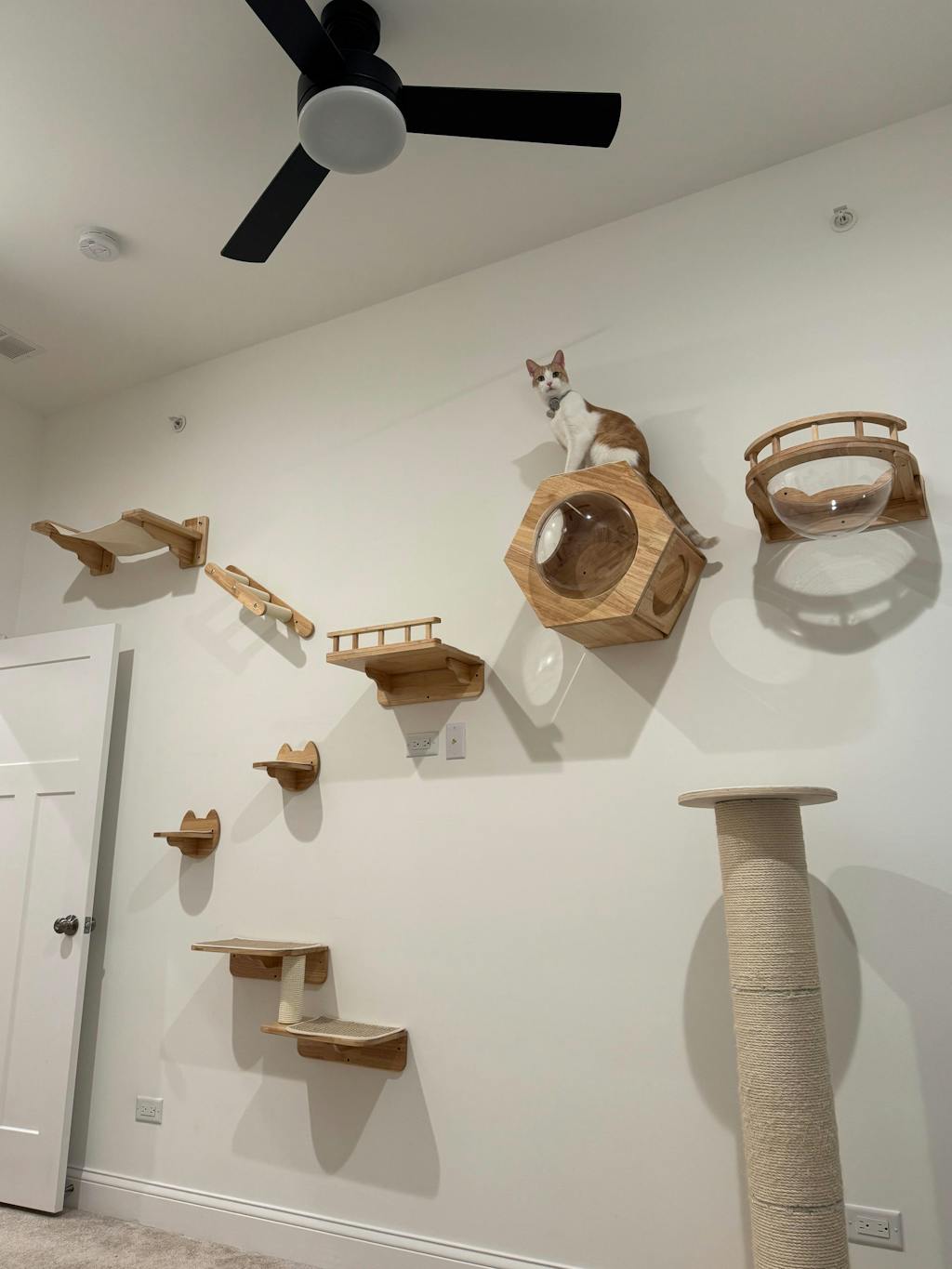 Hexagonal Wall-Mounted Cat Furniture Set | Modular Design with Transparent Domes | Perfect for Active Cats