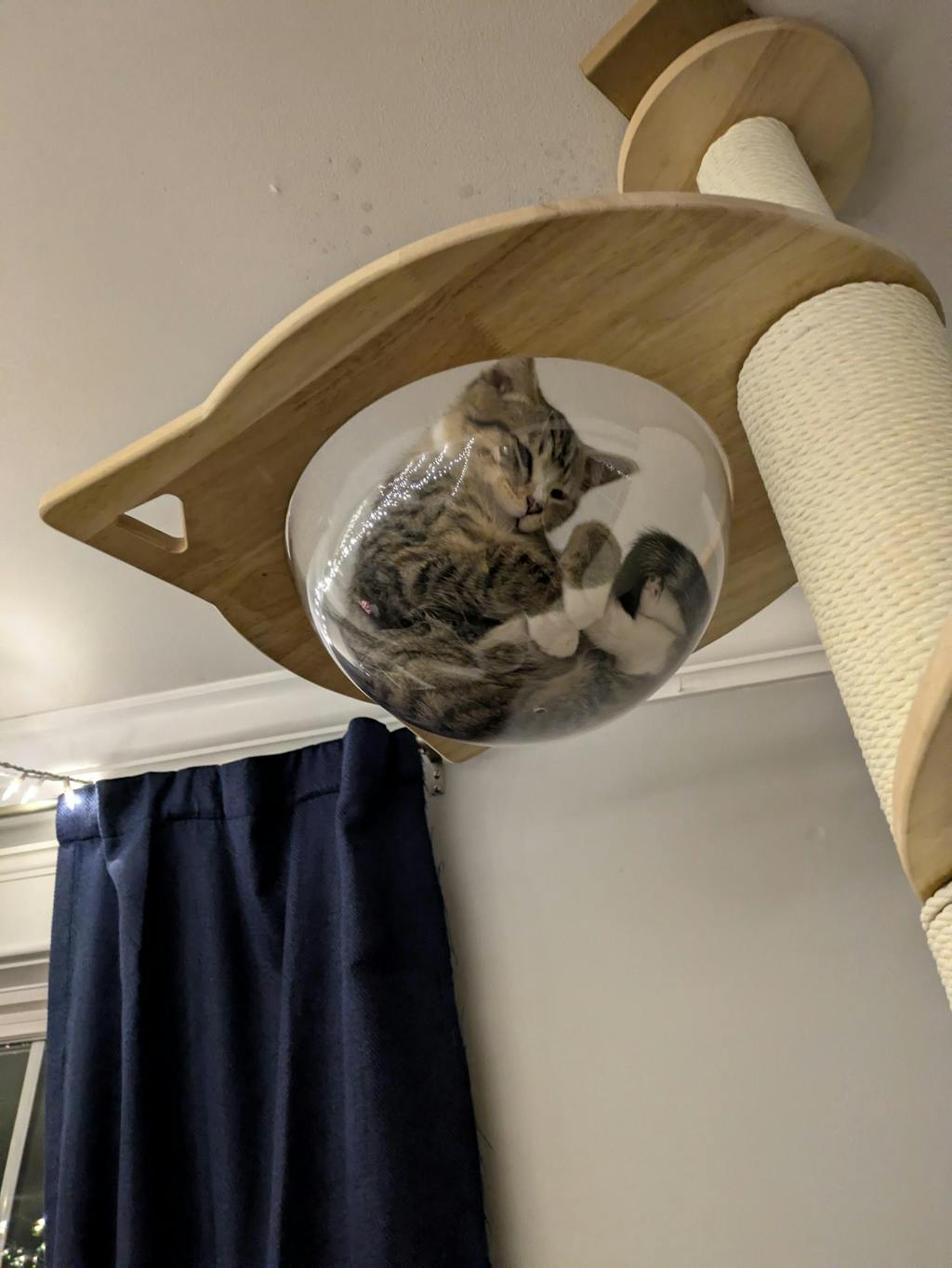 Floor to Ceiling Cat Tree - Adjustable Hammock Chic
