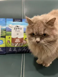 Review picture
