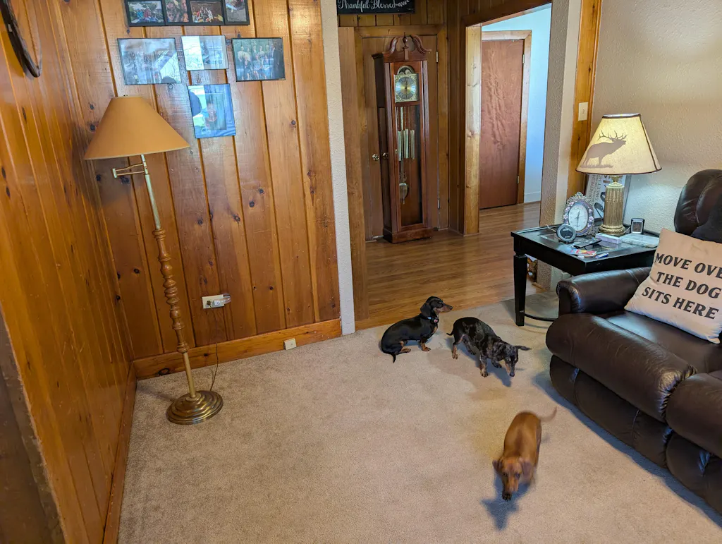 Review Image 8