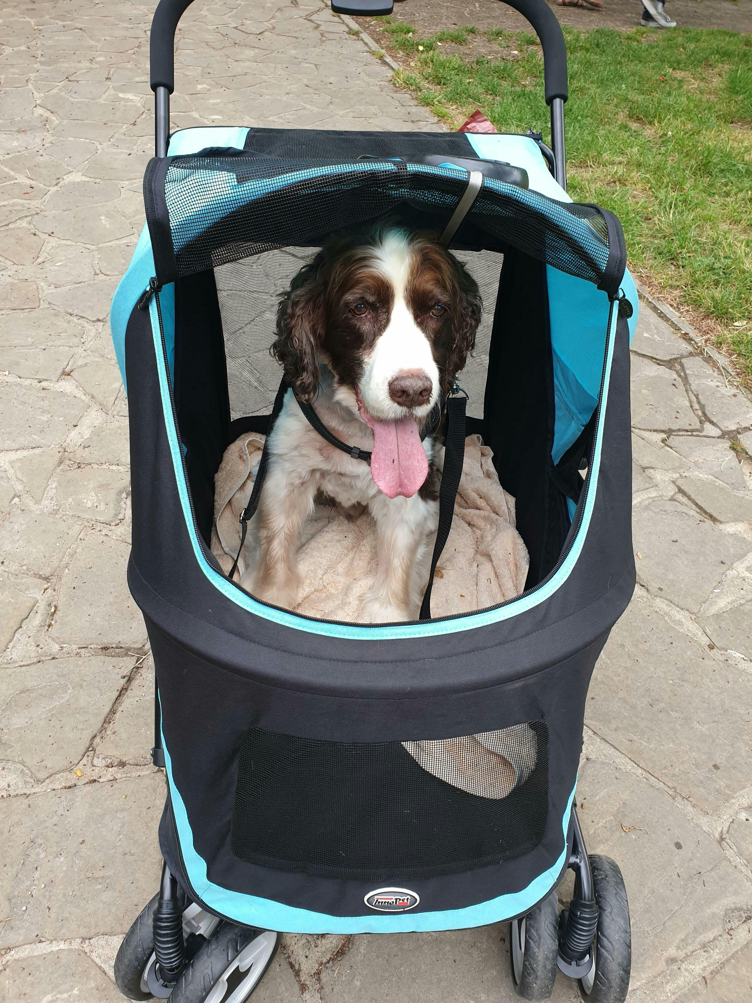 InnoPet® Mamut >50kgs XLarge Dog Pram UK, Dog Stroller IPS038 Pets