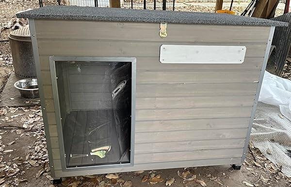 Large Dog House（43.3