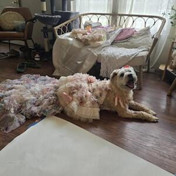 3D Rose Removable Long Trailing Pet Dress
